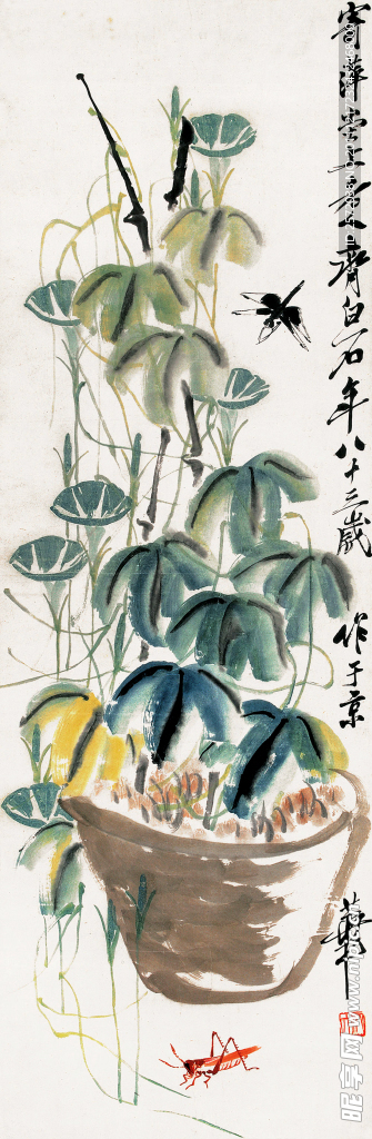 牵牛花之韵