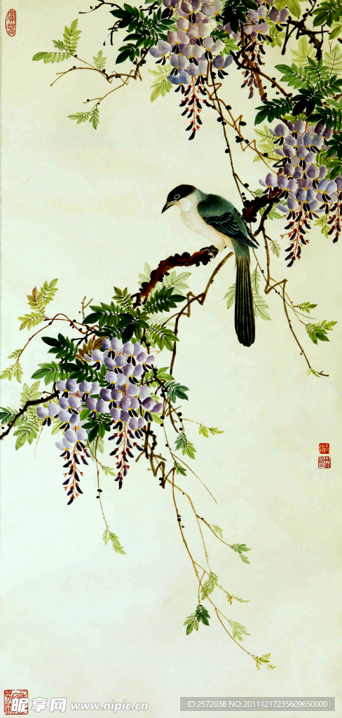 禽栖紫藤