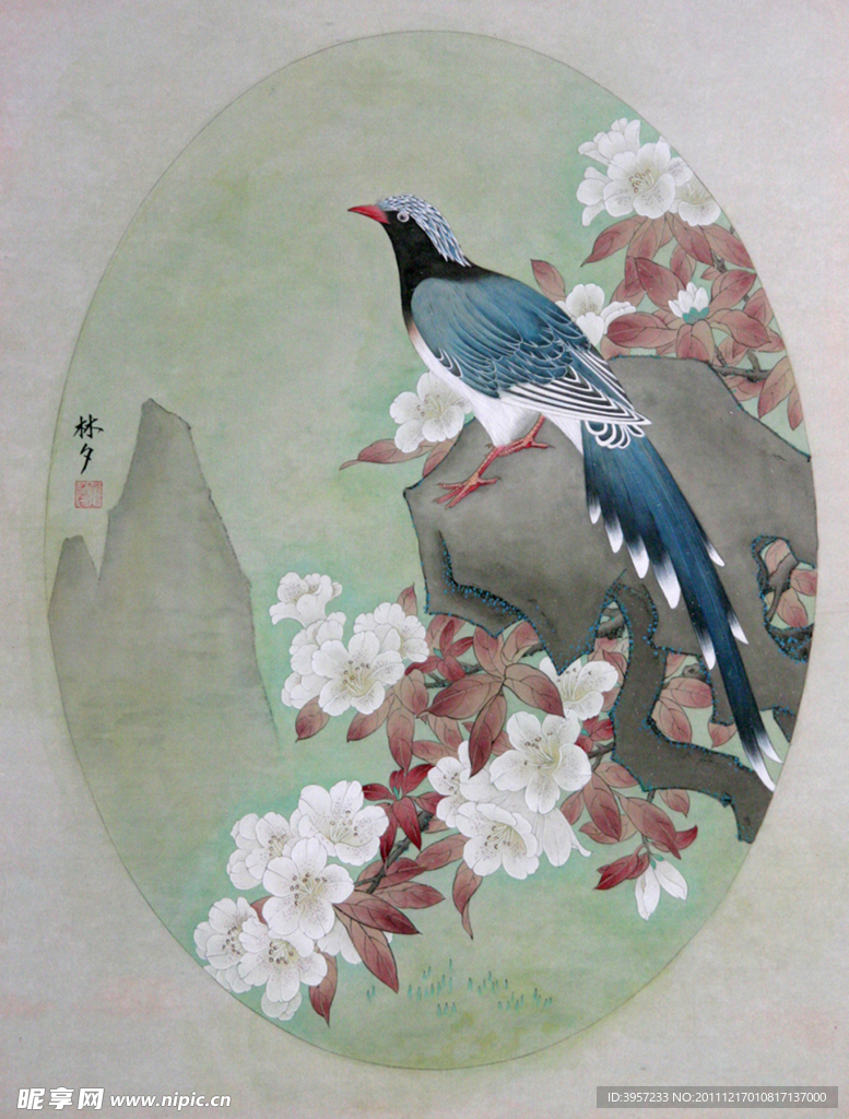 蓝鹊梨花