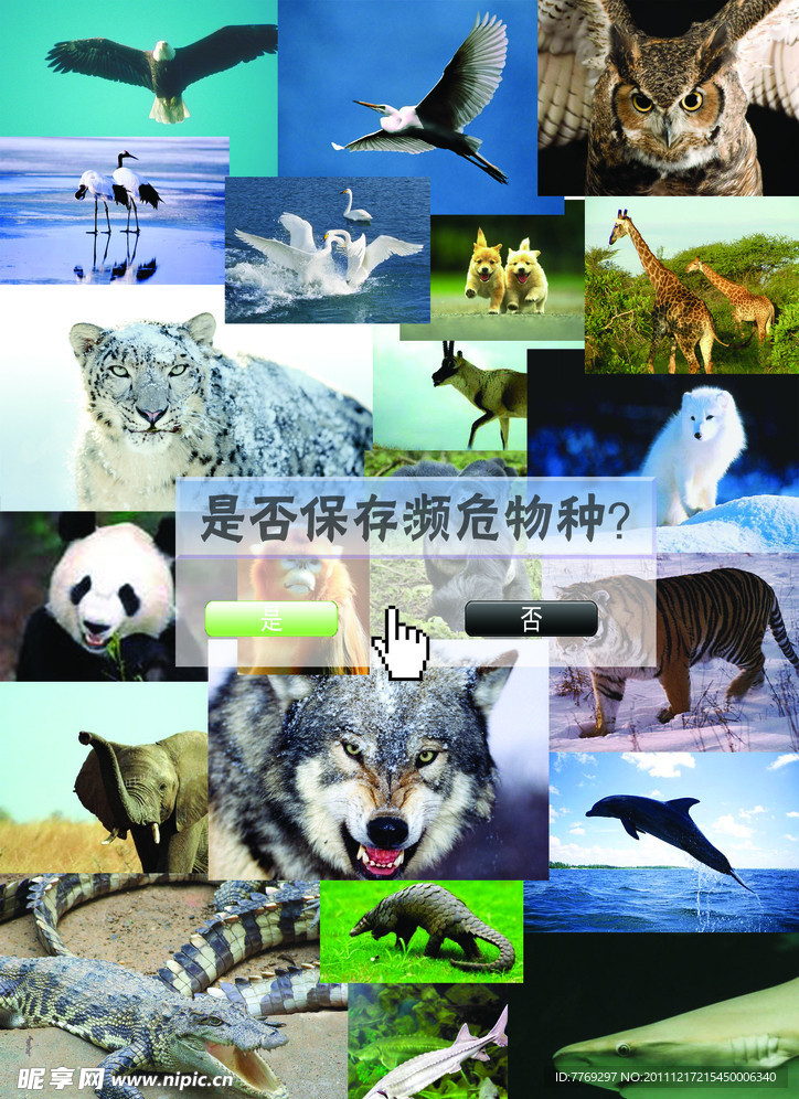 保护濒危动物