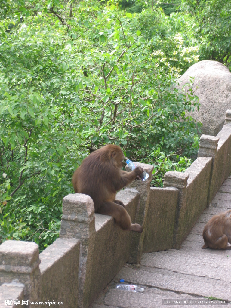 九华山风光