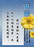 梦想