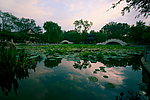西沽早晨