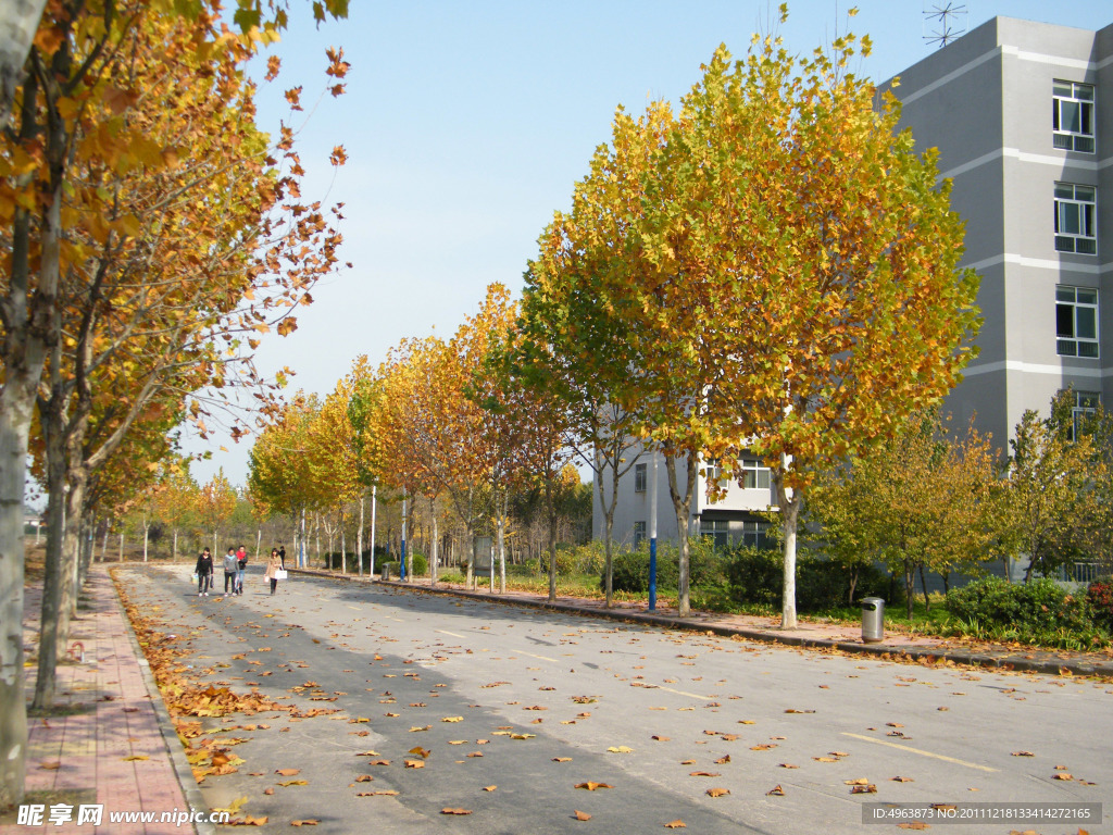 大学校园风景
