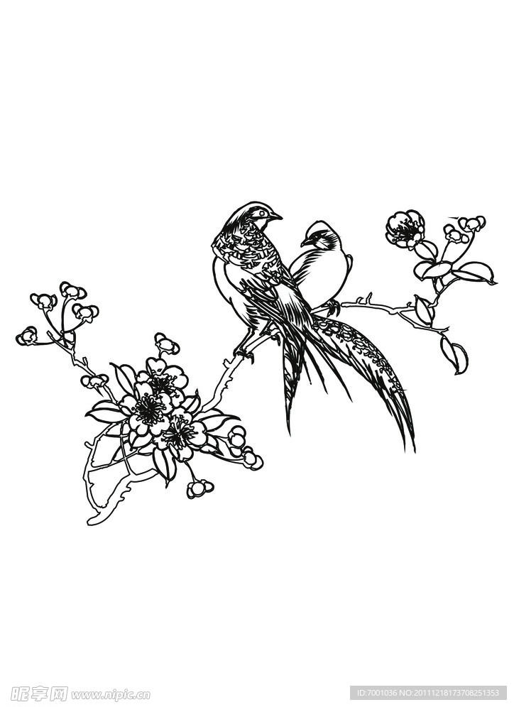 线描花鸟