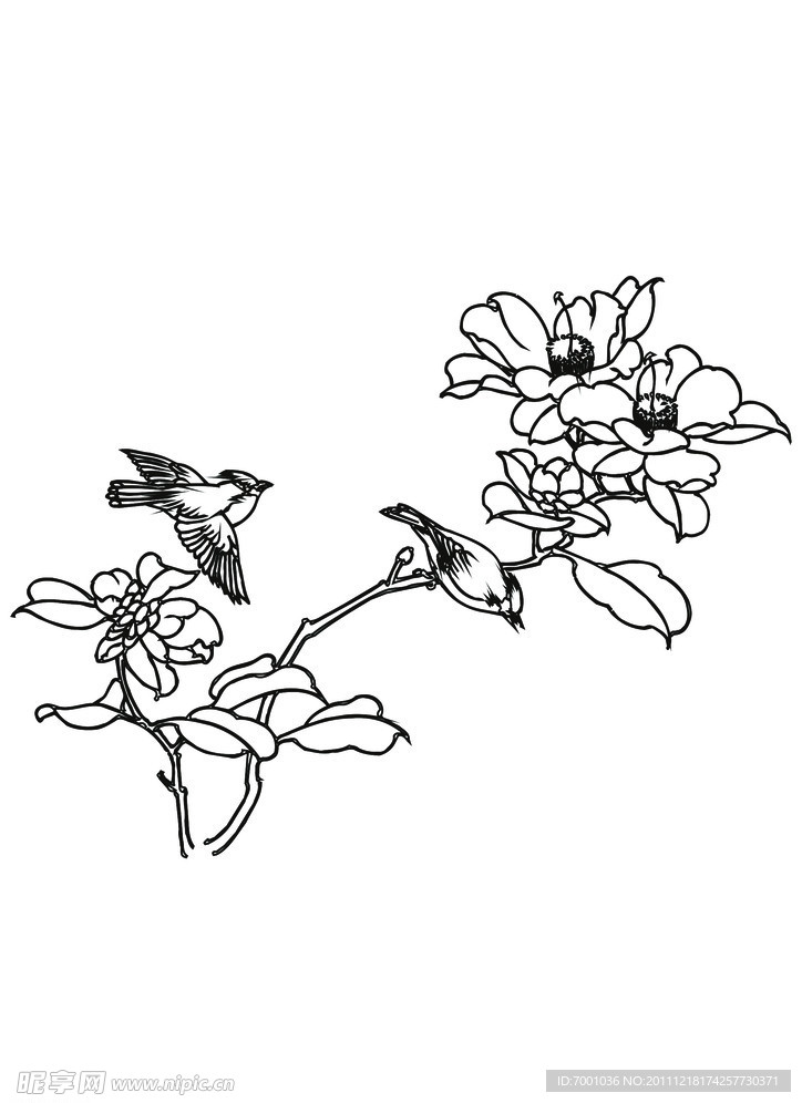 线描花鸟