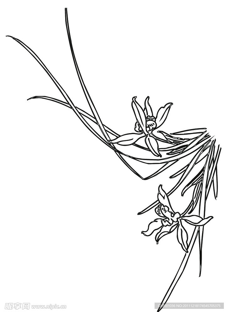 线描花草