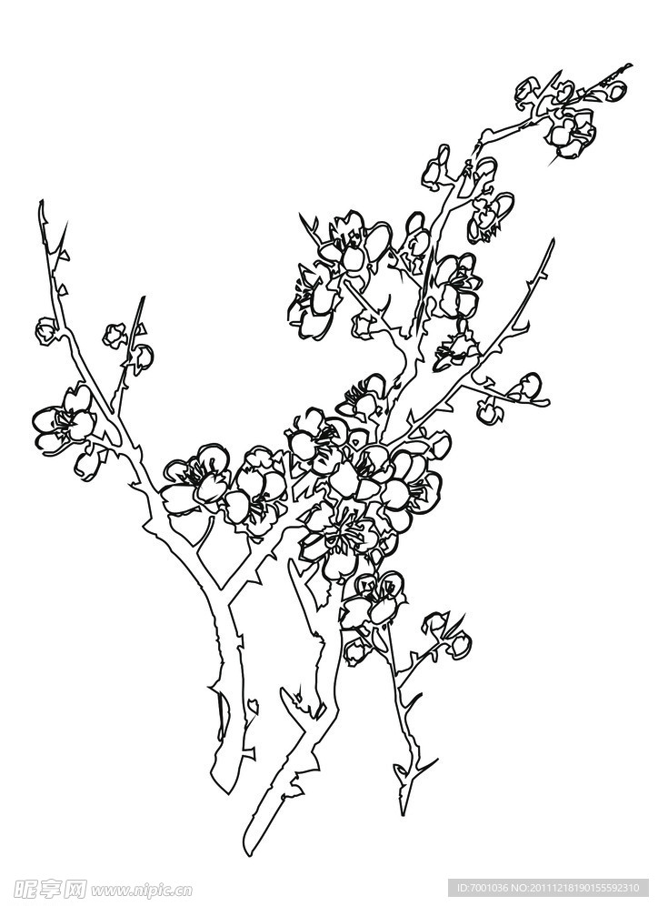 线描花