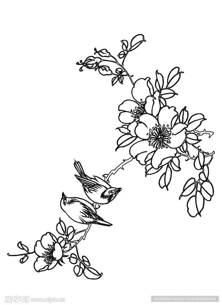线描花鸟