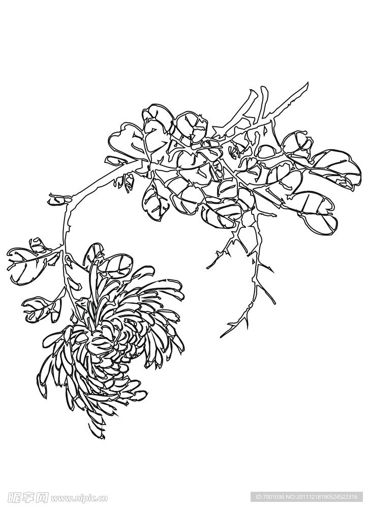 线描花