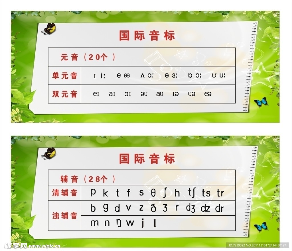 48个音标
