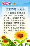 幼儿园亲密的师生关系