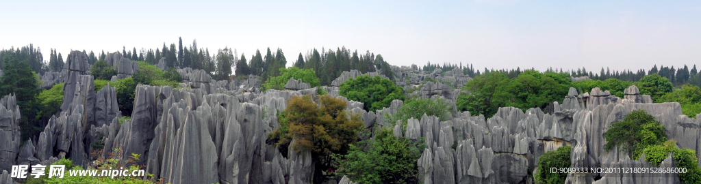 石林全景