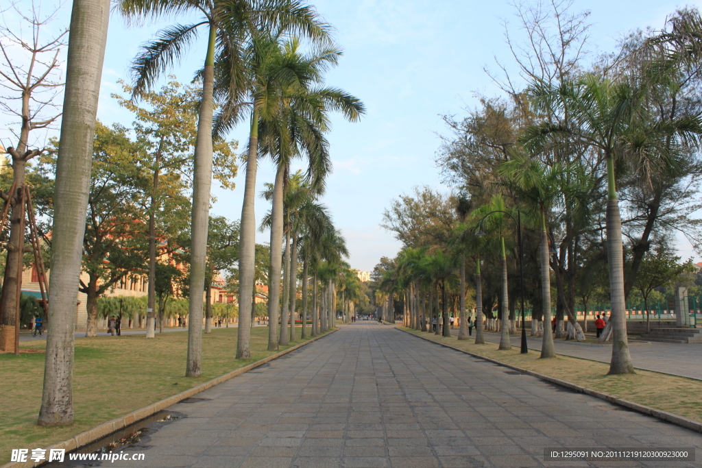 厦门风光 厦门大学