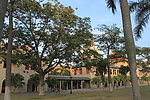 厦门风光 厦门大学