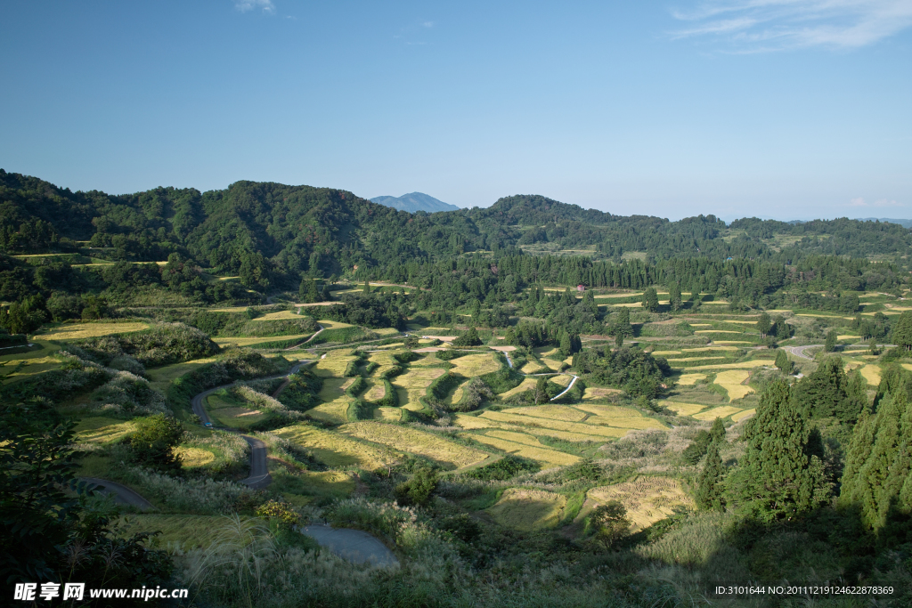 梯田风景