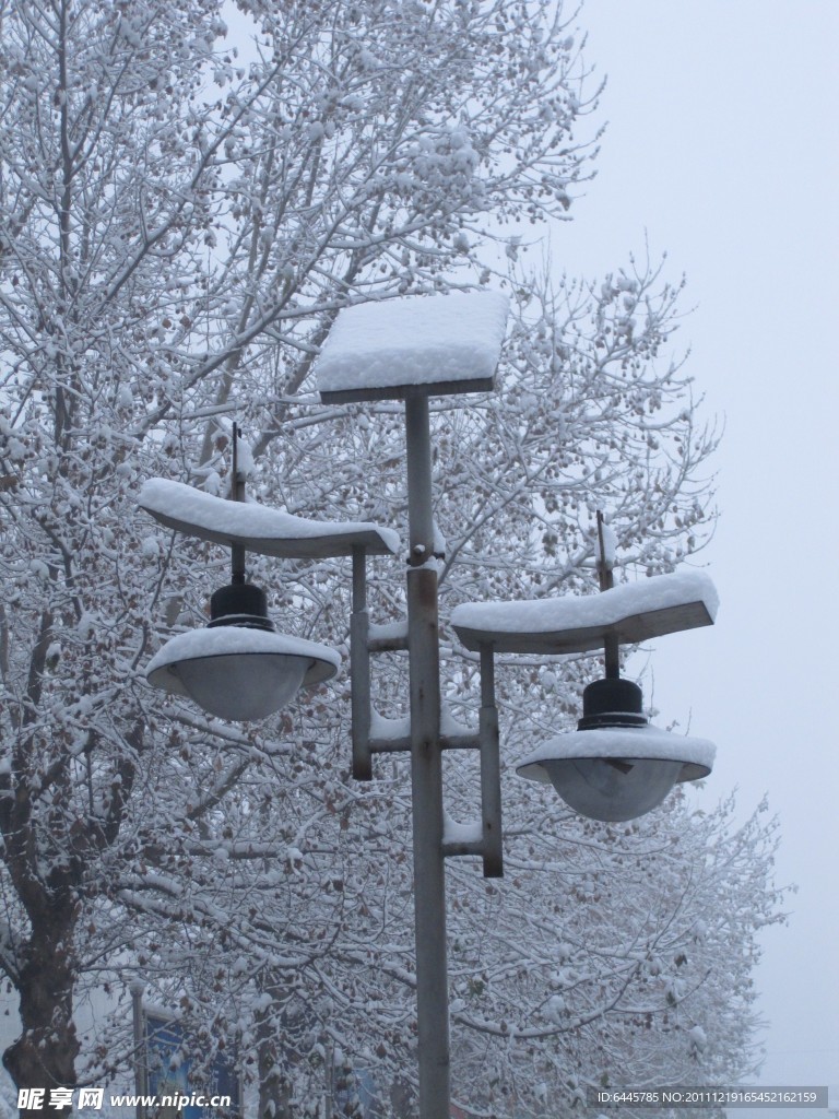 雪景