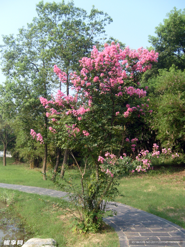 花路