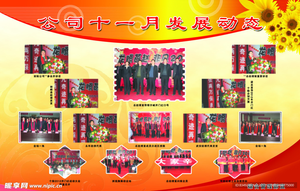 公司发展动态