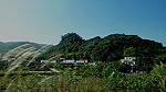 山村茅花