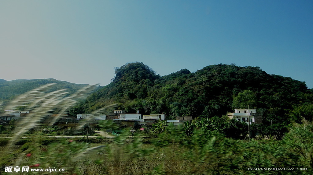 山村茅花