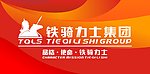 铁骑力士集团