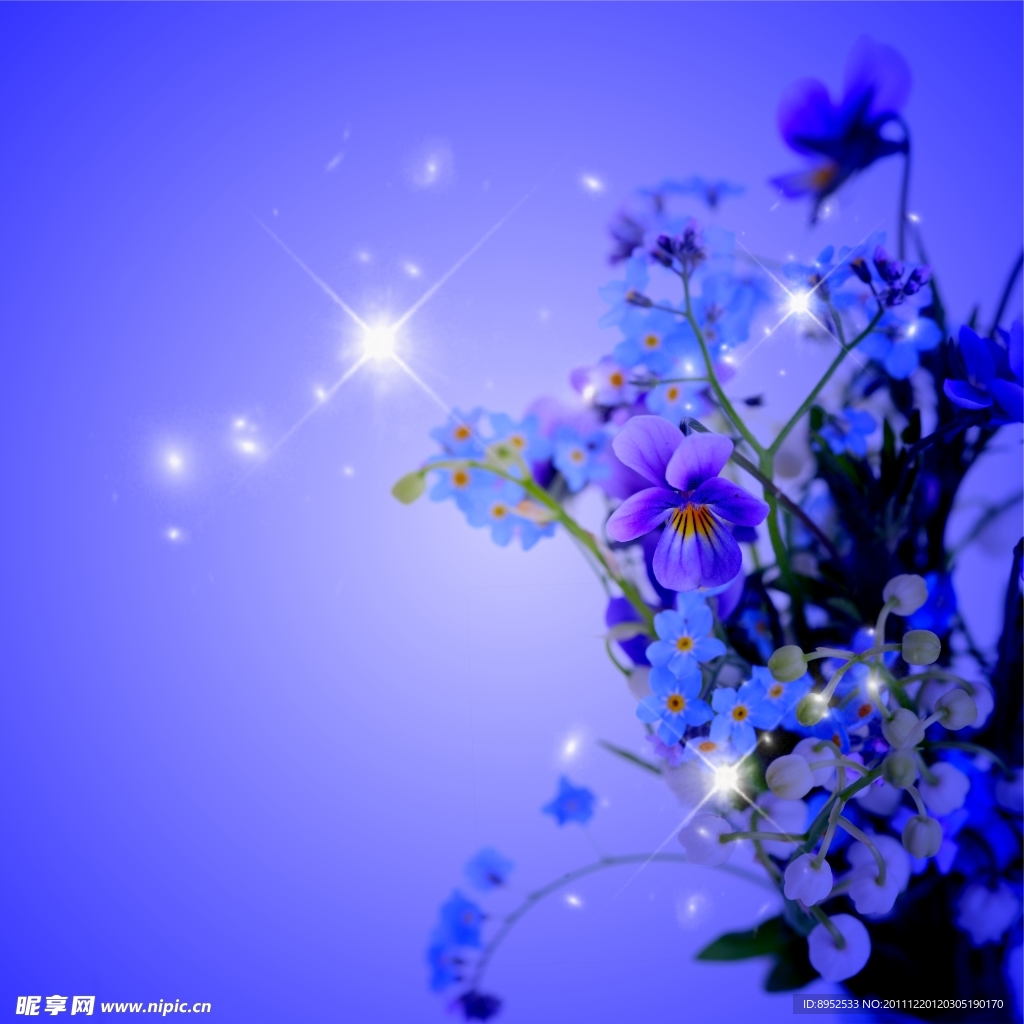 紫色花朵