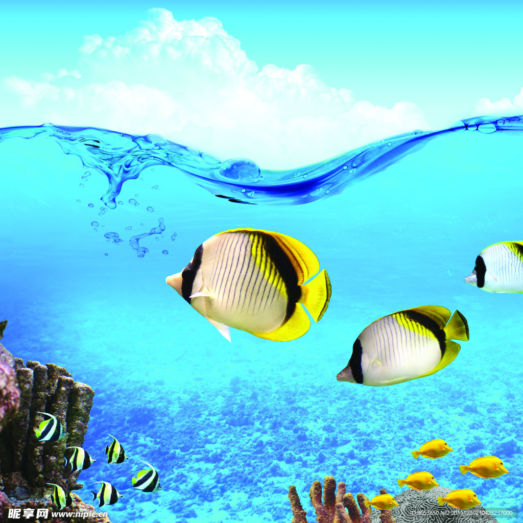 海底世界