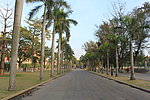 厦门风光 厦门大学