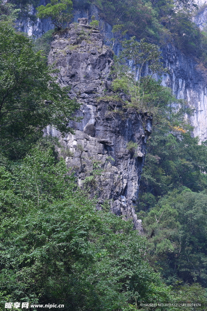 青山绿树