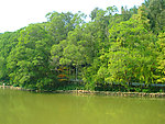 植物园风光