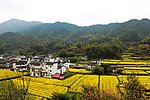 田园风光
