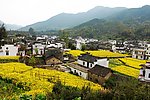 田园