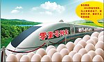 零蛋列车