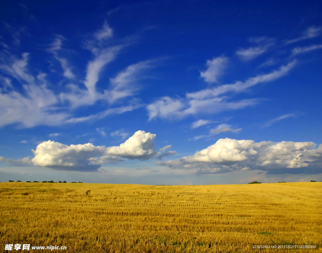 麦田在诺曼底，法国 库存图片. 图片 包括有 麦子, 农村, 诺曼底, 法国, 夏天, 庭院, 蓝色, 问题的 - 59215103