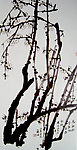梅花傲雪（非高清）