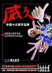 简约留学海报