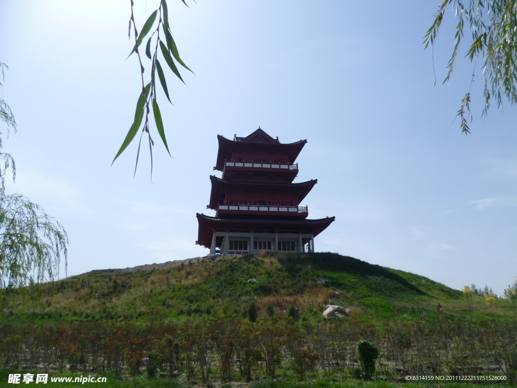 法桐公园