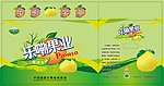 水果蜜柚橘子橙苹果箱子