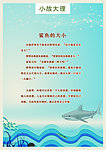 鲨鱼的大小