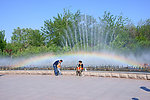 西沽彩虹