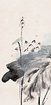 水墨荷花