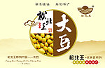 大豆海报