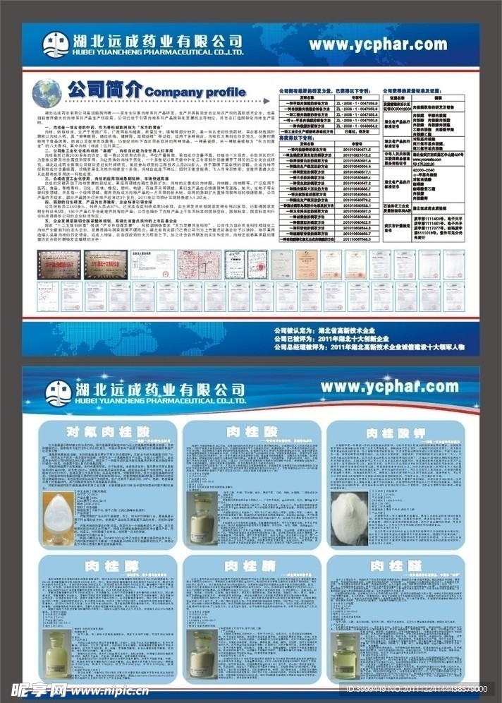 湖北远成药业有限公司简介