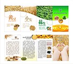 l粮油折页