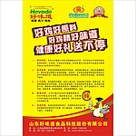 鸡精单页