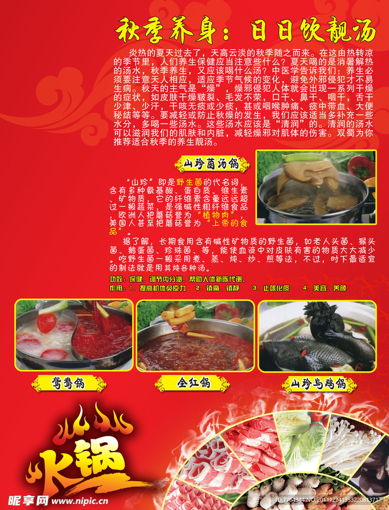 火锅宣传单