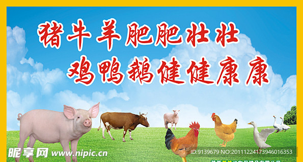 动物保健