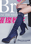 名典2011
