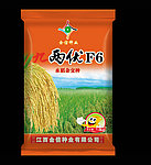 水稻杂交种